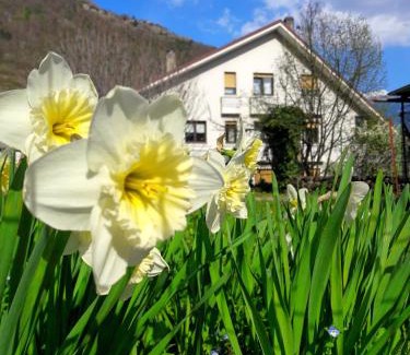 Madonna di Tirano House | Casa Vacanze Santa Perpetua