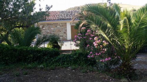 Raffo House | Casa Vacanze Villa Mariano