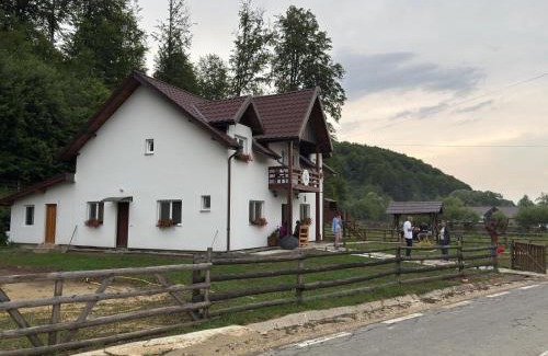 Vama Buzaului House | Casa Vanatorului Buzaiel