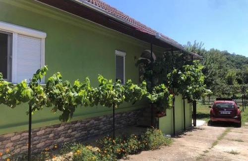 Vata de Jos House | Casa Verde