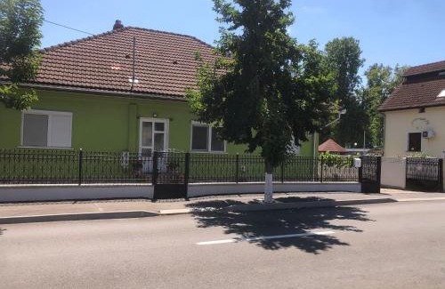 Vata de Jos House | Casa Verde