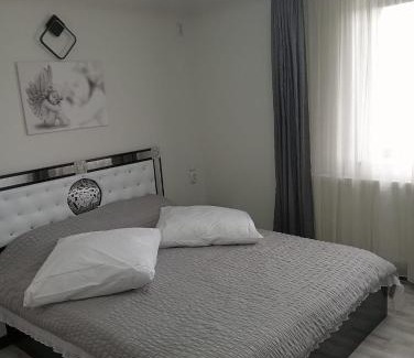 Teliucu Inferior Apartment | Casa Vio