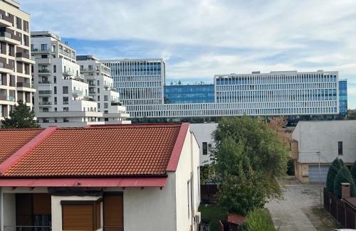 Timisoara Villa | Casa Vox Torontalului
