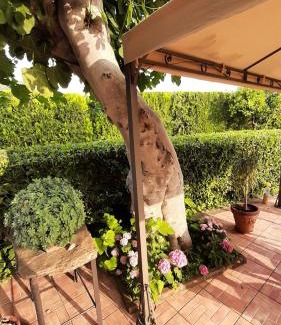 Vallo Scalo Bed & Breakfast | Casale Battaglini