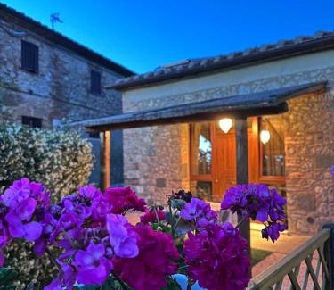 Sovicille House | Casale Daja