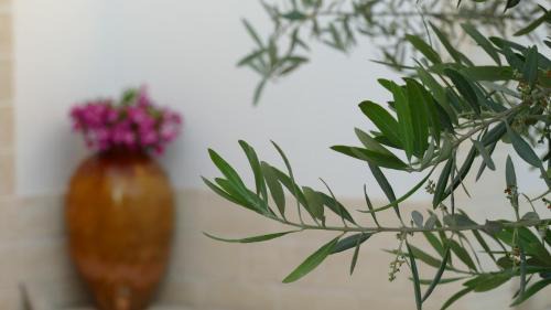 Fasano Bed & Breakfast | Casale Giuseppe