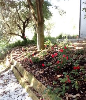 Monteleone Bed & Breakfast | Casale Mongiusti 1961