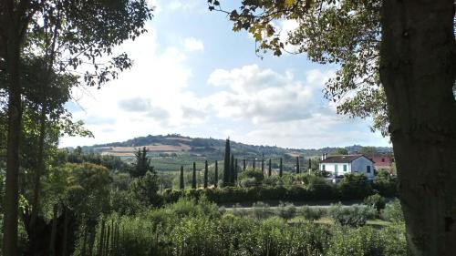 Monteleone Bed & Breakfast | Casale Mongiusti 1961