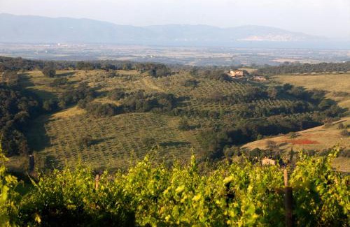 Magliano in Toscana Bed & Breakfast | Casale Sterpeti
