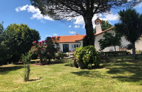 Paredes de Coura House | Casas Viriatus - Turismo Rural