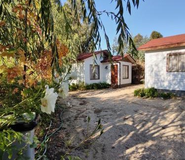 Santa Cruz Apartment | Casas y departamentos en el huerto de "LaEmboscadapuntocl"