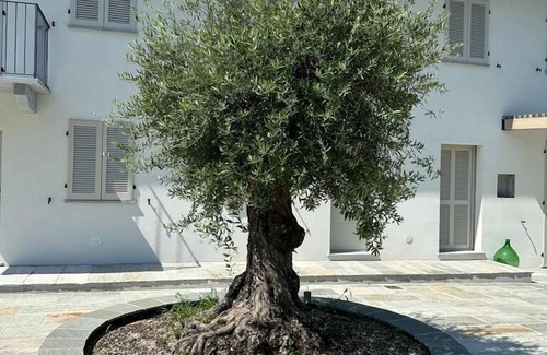 Canelli House | Cascina Canelli - Apt. Asti, Cascina Canelli - Apt. Asti