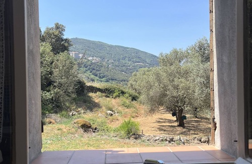 Sartene Cottage | Caseddu charming, small typical Corsican sheep