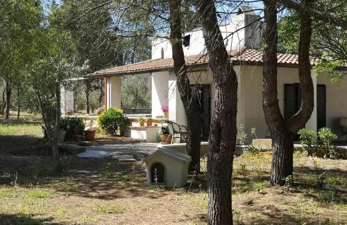 Manfio House | Casina la Rosina