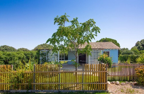 El Palmar Cabin | Casita Azulita, Las Casitas Lulu, El Palmar
