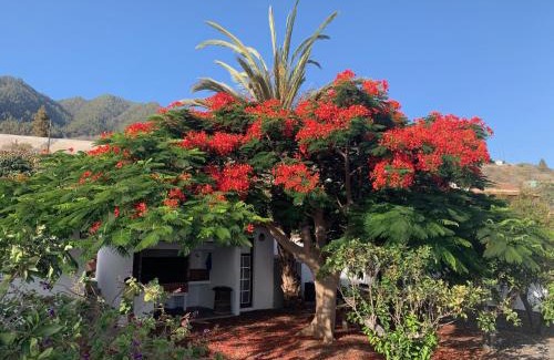 El Paso Apartment | Casitas Rosheli