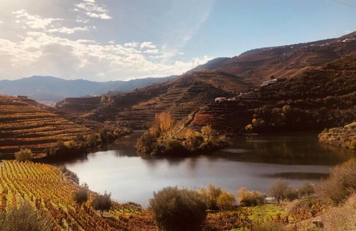 Adorigo House | Castas do Douro