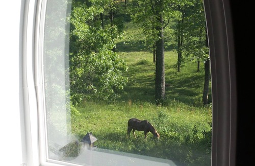 Rineyville House | Castle Hill Haven Estate/family-friendly retreat by Sports Park/KY attractions