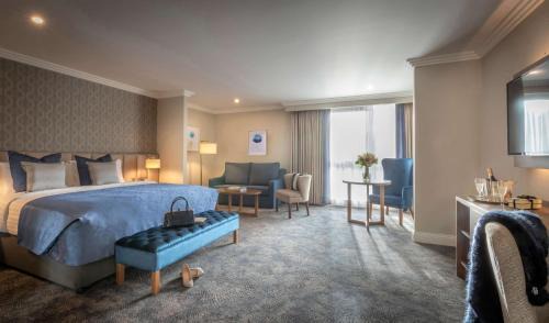 Annacotty Apartment | Castletroy Park Hotel Suites