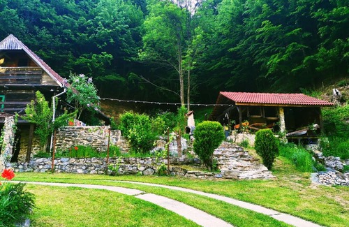 Toplita House | Casuta Bucuriei