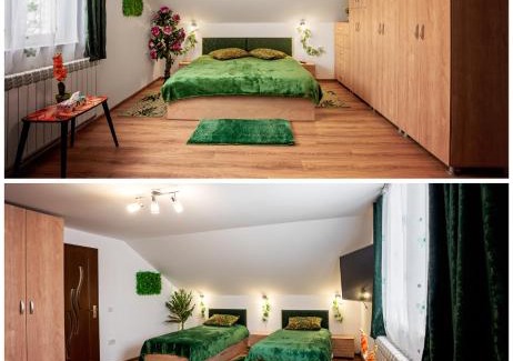 Vilcele House | CASUTA CU FLORI
