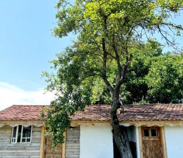 Porumbacu de Jos House | Casuta cu Mar de la Joyard