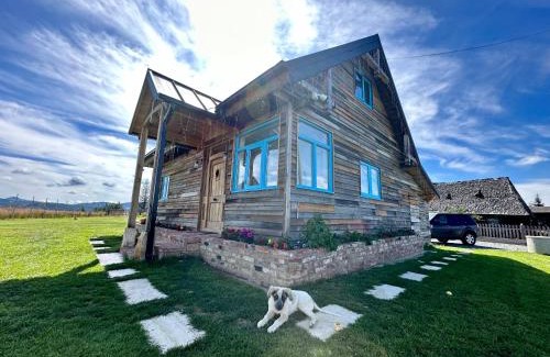 Belis House | Casuta din Balcesti