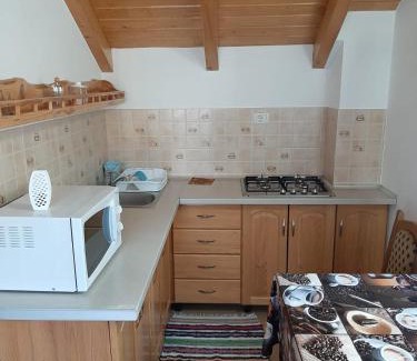 Borsa Apartment | Casuta Pietrosul Rodnei