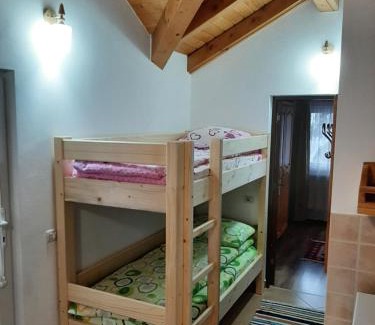 Borsa Apartment | Casuta Pietrosul Rodnei