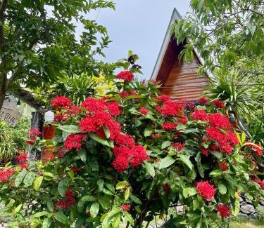 Cat Hai Cabin | Cat Ba Love House