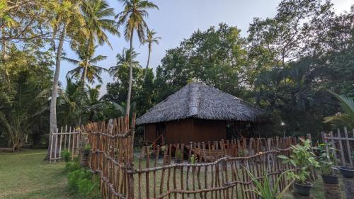 Rekawa Bed & Breakfast | Catamaran Lagoon Cabana