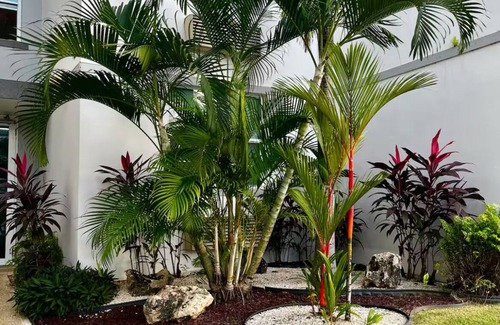 Rincon Condo | Catch some waves and chill, with high speed Wi-fi, washer & dryer.