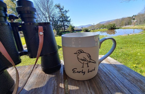 Prattsville Cabin | Catskills Retreat close to Windham, Hunter, hiking