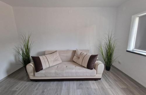 Ineu House | Cazare Ineu 2