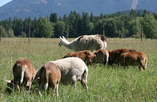 Athol Bed & Breakfast | Cedar Mountain Farm Bed and Breakfast LLC