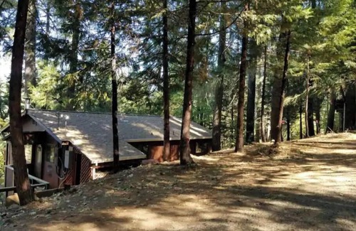 Pollock Pines Cabin | Cedar Pines Cabin w/Fire Pit & Large Deck - BIG Trees - A Quaint Rustic Charmer