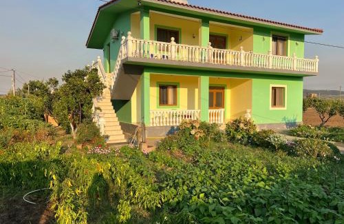 Divjake Apartment | Cela House