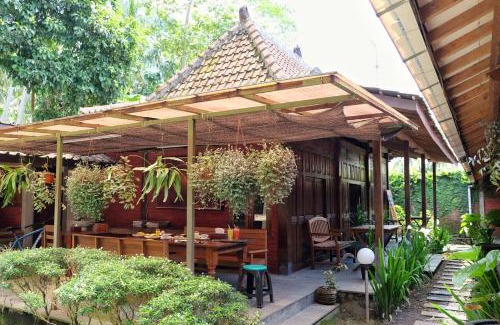 Borobudur House | Cempaka Borobudur Guest House