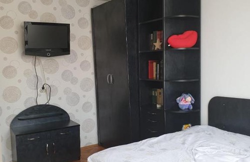Tirgu Mures Apartment | Center View