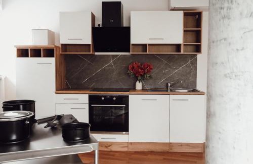 Kranj Apartment | Central Apartment Maister