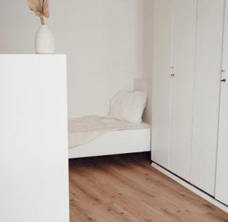 Kranj Apartment | Central Apartment Maister