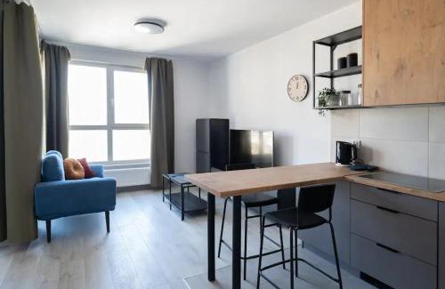 Katowice Apartment | Central Apartments Katowice - City Center - Cozy One Bedroom Apartment - O10