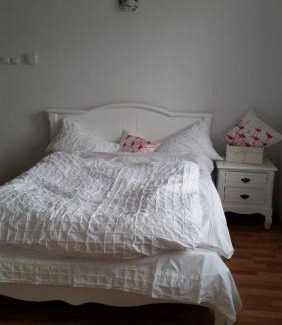 Dorobanti Apartment | Central appartment - heart of Bucharest - sector 1 - new renovated - open space