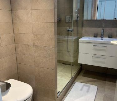 Geneva Old Town Apartment | Central Charm Apartment, Geneva City Center