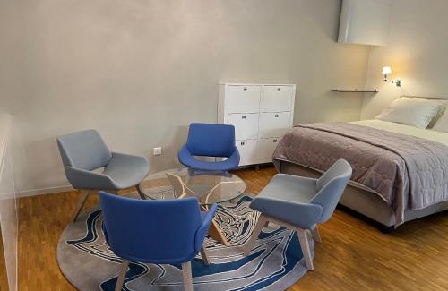 Geneva Old Town Apartment | Central Charm Apartment, Geneva City Center