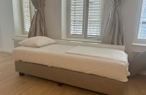 Geneva Old Town Apartment | Central Charm Apartment, Geneva City Center