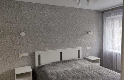 Kedainiai Apartment | Central cozy apartment