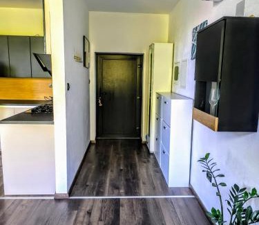 Ljubljana Apartment | Central Ljubljana Apartment