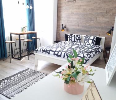 Petrosani Apartment | Central Park Studio Petrosani