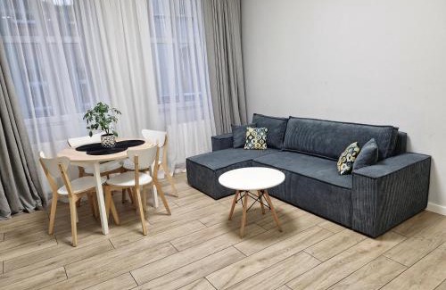 Rybnik Apartment | Central Platinum Apartments 7